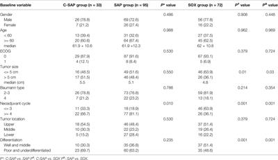 Safety and Efficacy of Camrelizumab in Combination With Nab-Paclitaxel Plus S-1 for the Treatment of Gastric Cancer With Serosal Invasion